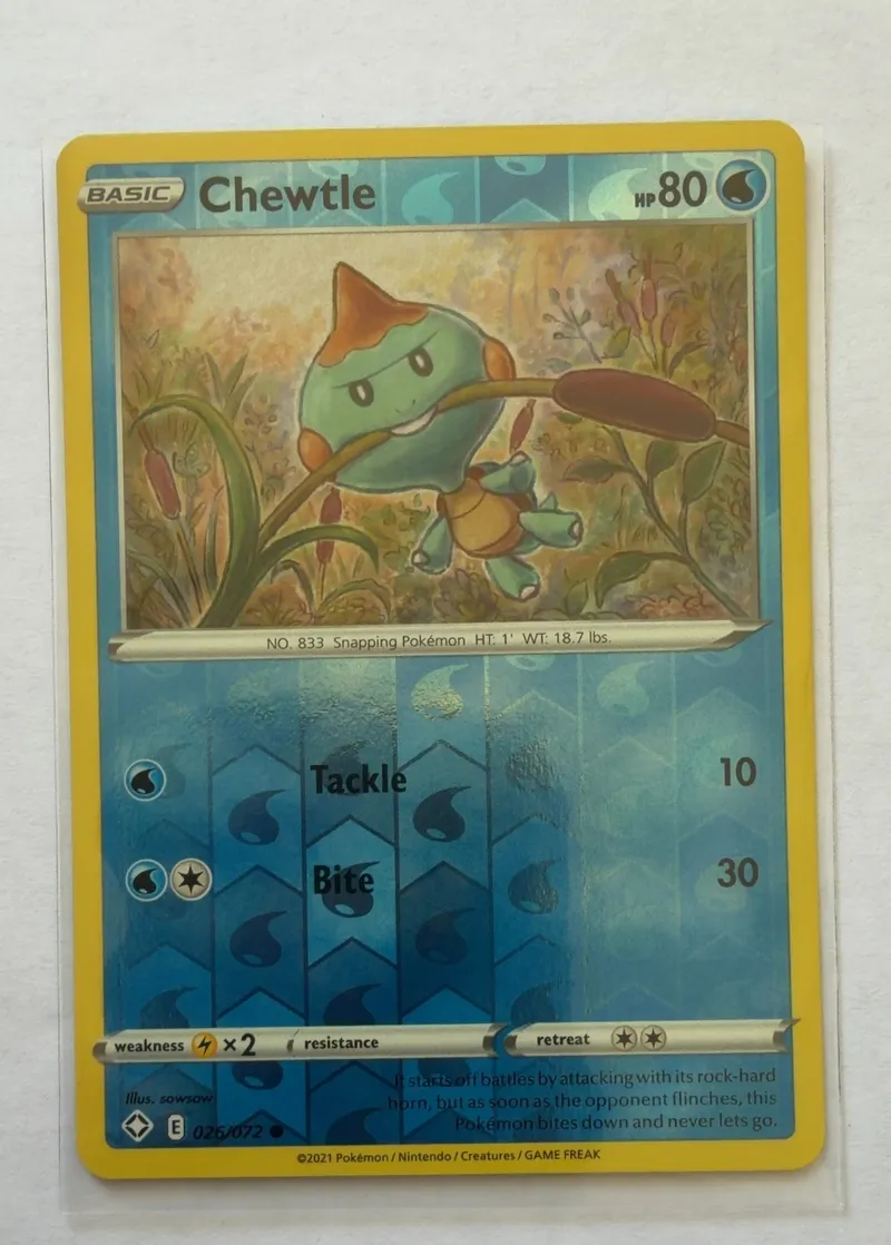 Chewtle 26/72